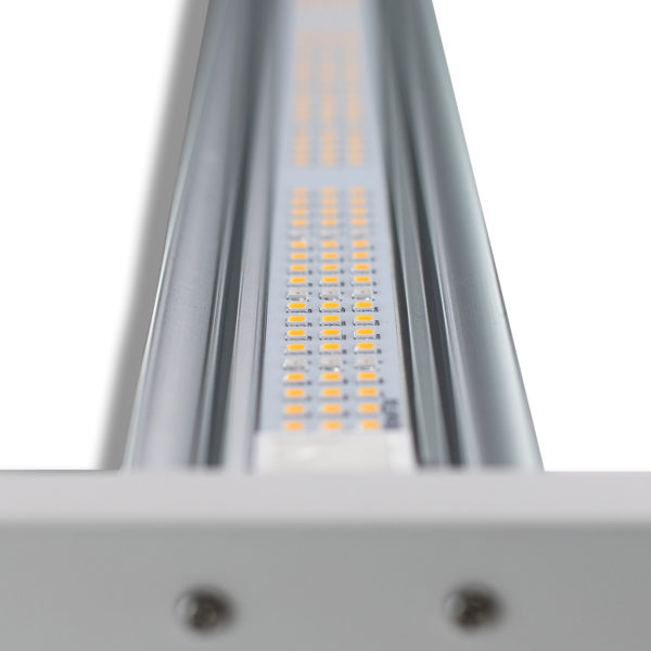 Closeup of the LEDs in the GROWStation 640W Original 1600 by Better Options
