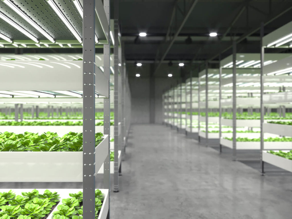 An image of plants on shelves in a warehouse.