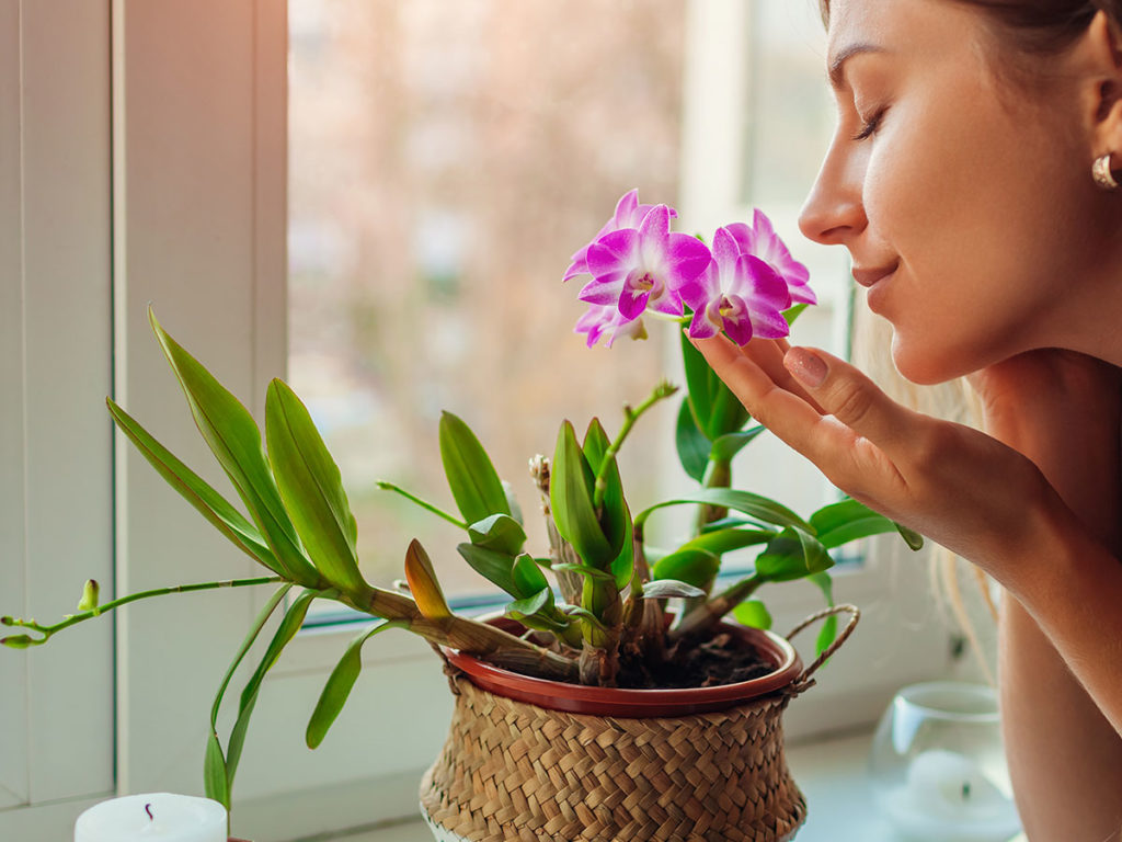 An image of a woman smelling an orchid.